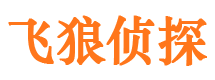 榆阳市私家侦探公司